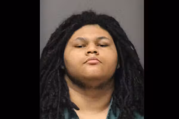 18-year-old accused of stabbing his elderly grandmother to death; cops find knives protruding from victim's body