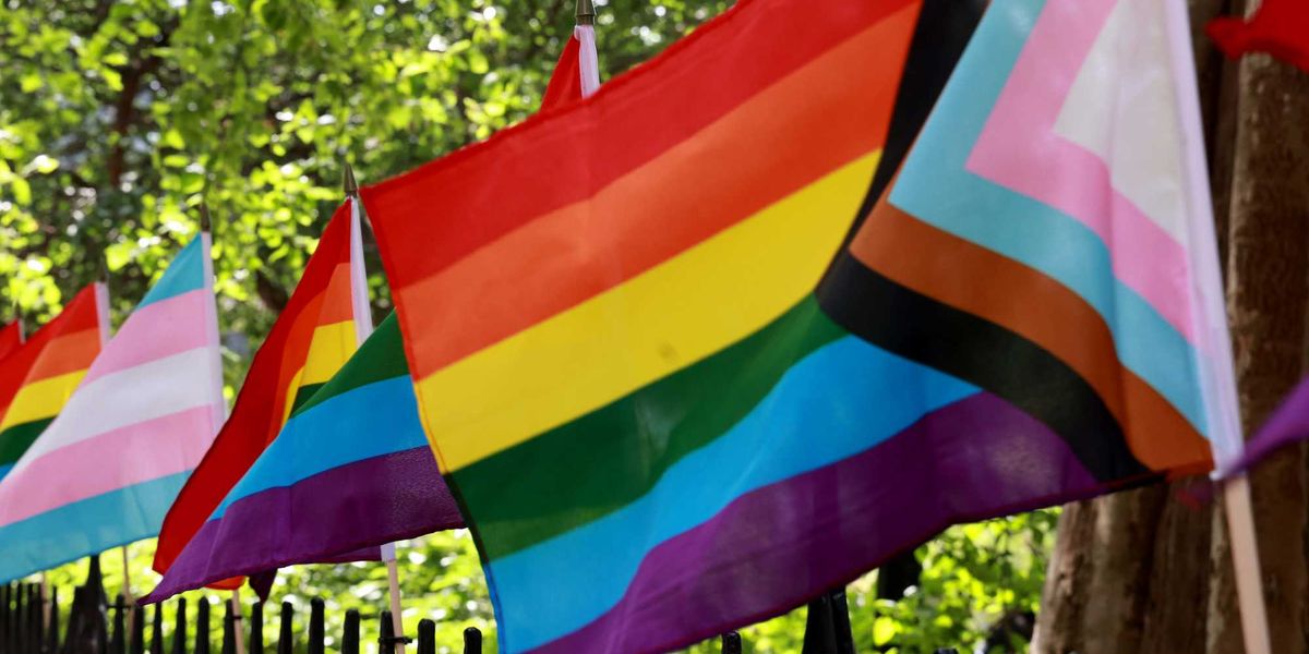 2 men rip down Pride flag from bar, then return to throw a rock through the window, Ohio police say