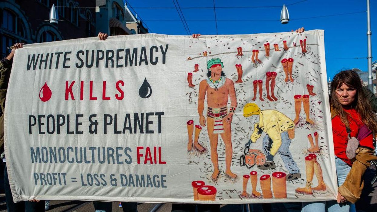 $3.4 billion spent on diversity, equity, inclusion programs in 2020, with no 'good evidence' that they work