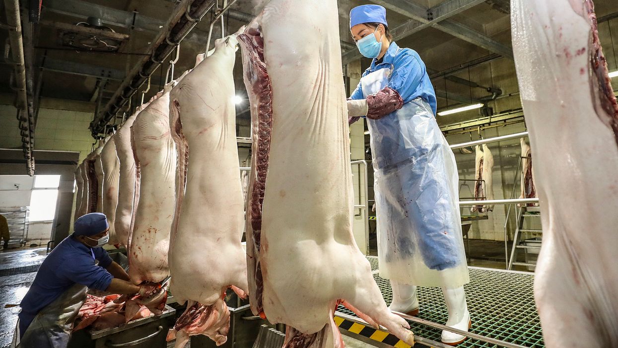 373 workers at meat-packing plant test positive for COVID-19 — and they were all asymptomatic