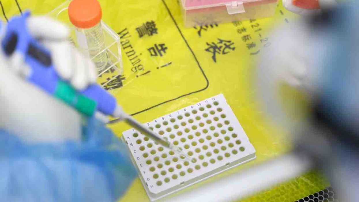 Accidental COVID-19 laboratory-leak theory must be taken seriously and investigated, leading scientists declare