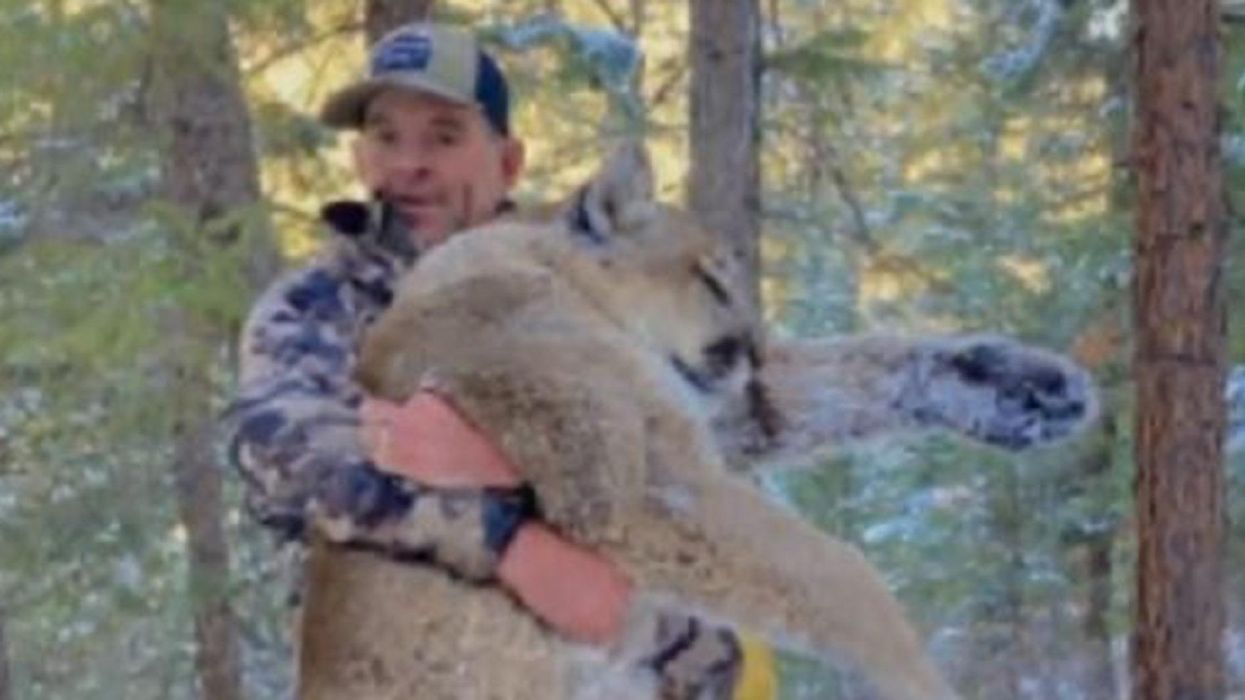 Accused Capitol rioter on house arrest for allegedly violating gun order in mountain lion hunt