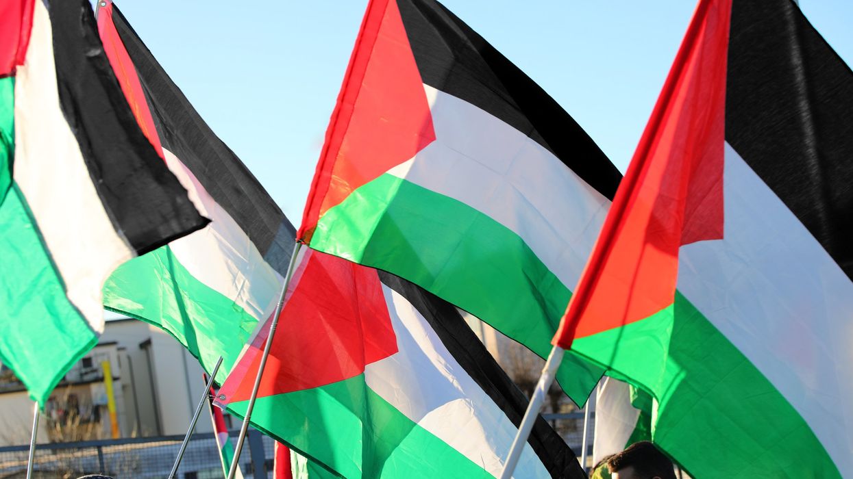 Activist health sciences instructor fired from DePaul after offering optional 'genocide in Gaza' assignment