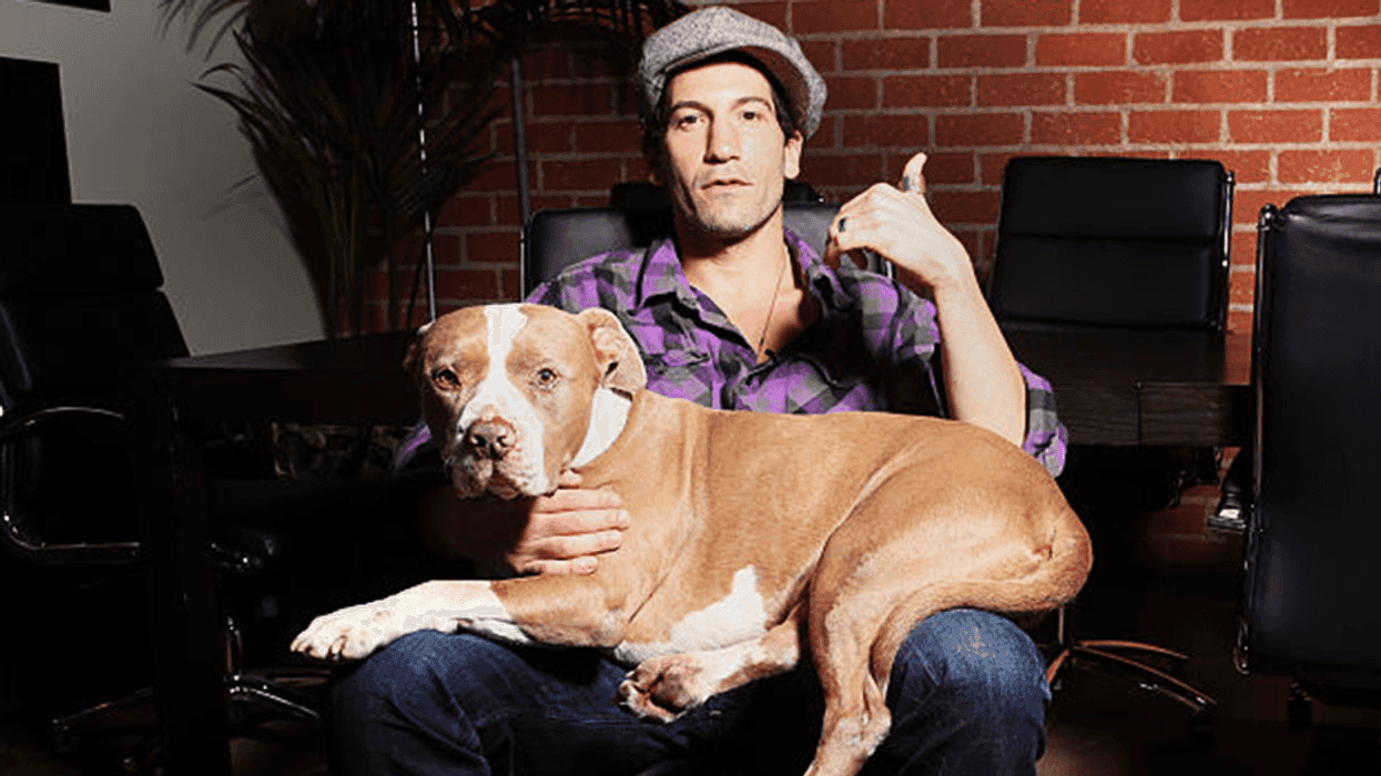 Actor Jon Bernthal calls pit bull fear 'ridiculous': 'It's just dog racism'
