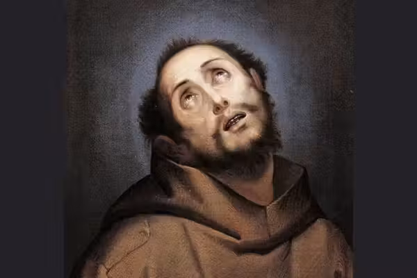 After 800 years, why do we still treat St. Francis as a glorified garden gnome?