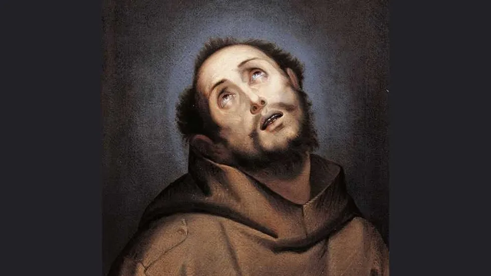 After 800 years, why do we still treat St. Francis as a glorified garden gnome?