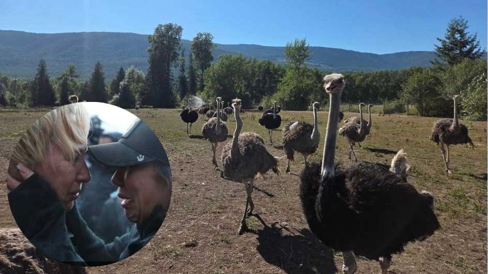 Aftermath of a slaughter: Universal Ostrich Farms vows to hold Canada accountable
