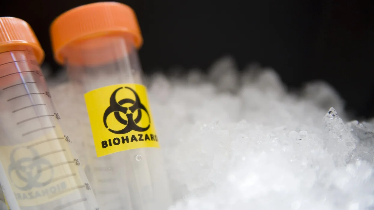 AI can be used to develop biological and chemical weapons