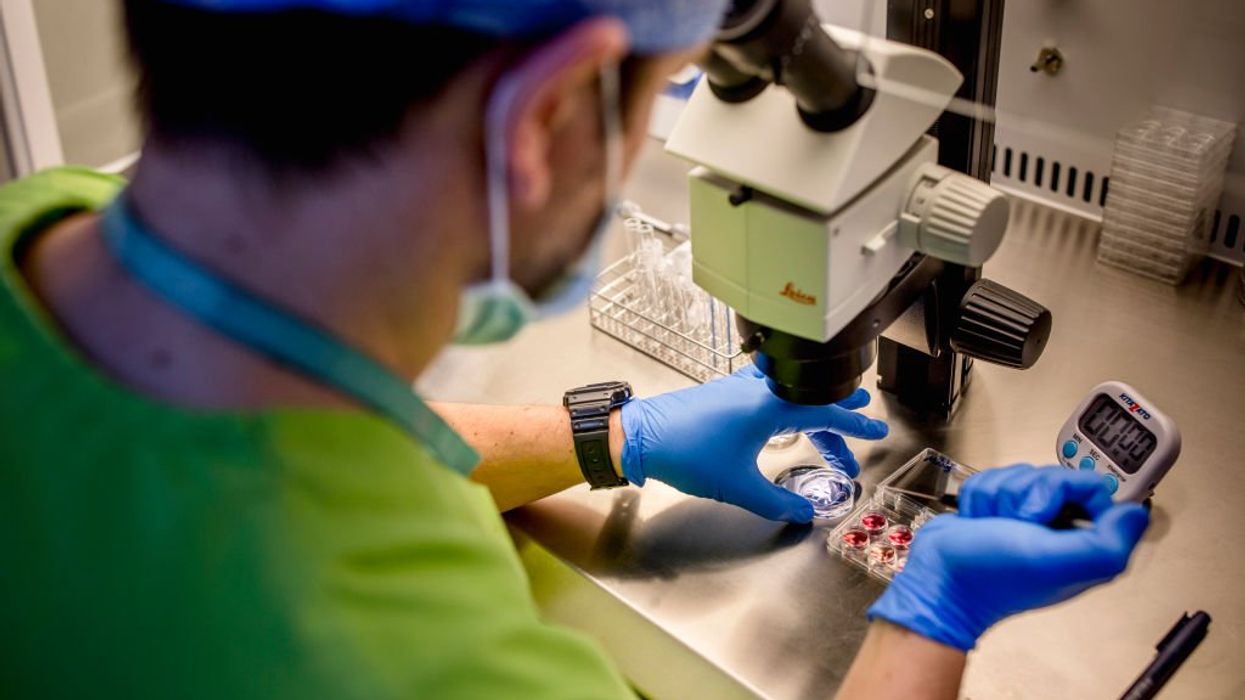 Alabama IVF clinics reopen after Gov. Ivey signs bill granting legal protections to providers