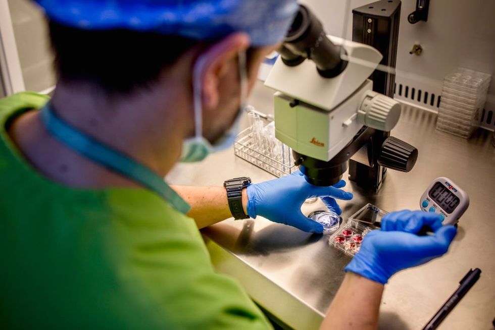 Alabama IVF clinics reopen after Gov. Ivey signs bill granting legal protections to providers