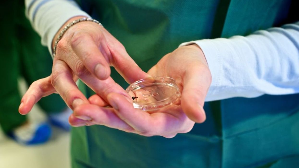 Alabama lawmakers advance legislation granting legal protections to IVF clinics