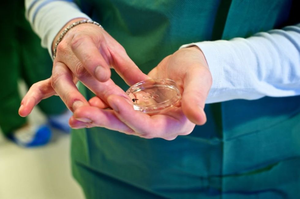 Alabama lawmakers advance legislation granting legal protections to IVF clinics