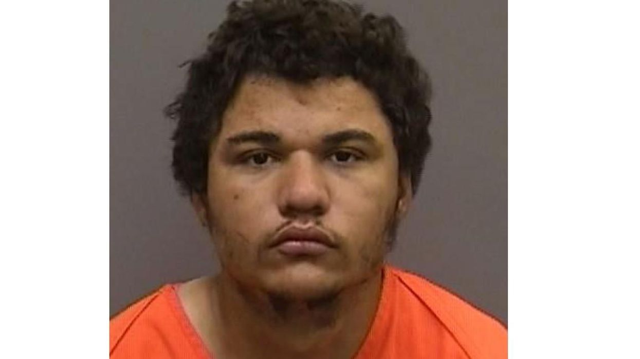 Intruder butchers beloved puppy to death with machete: Report