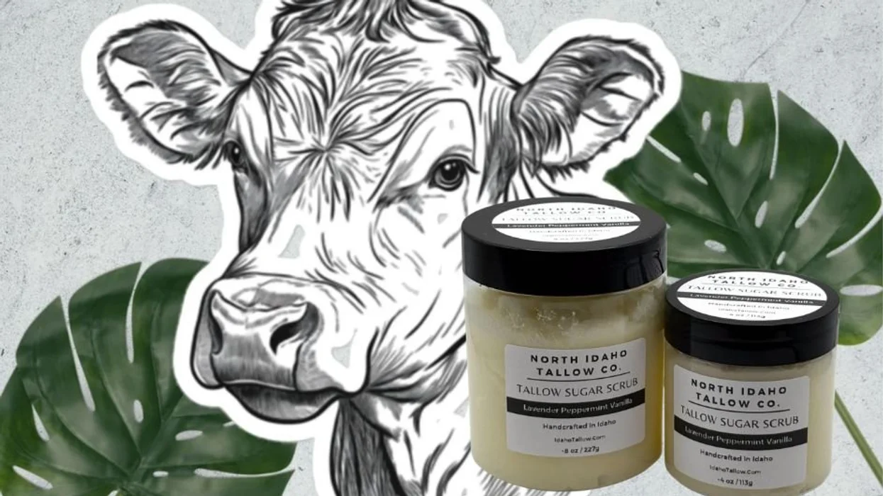 All-natural tallow: Everything your skin needs — without the hormone disruptors