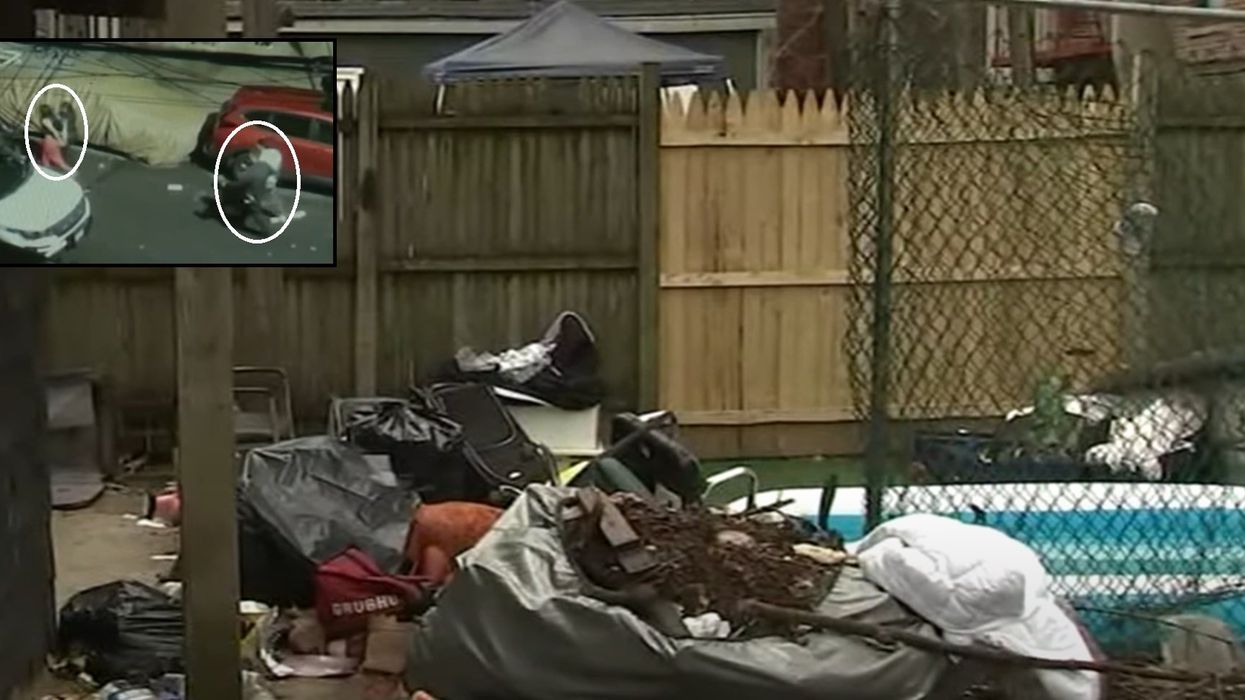 Alleged attempted murderer among armed illegal aliens found squatting with drugs in NYC home: Police