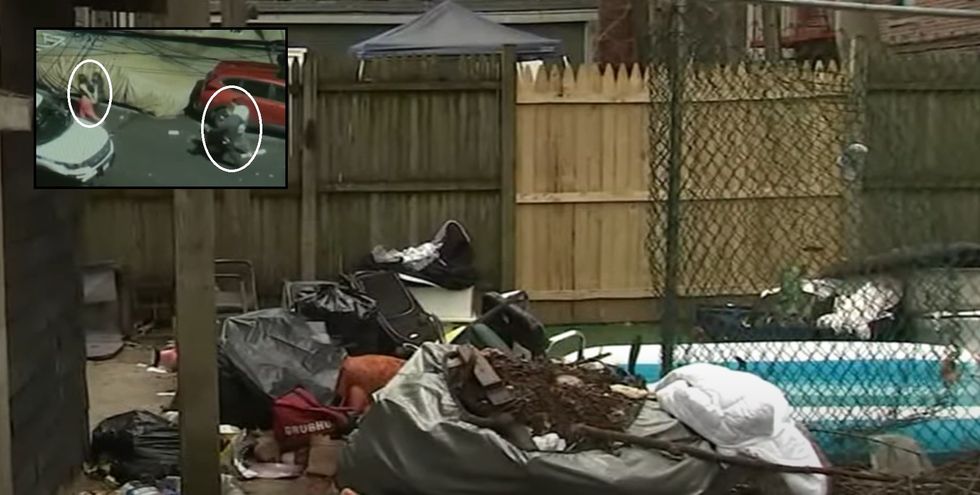 Alleged attempted murderer among armed illegal aliens found squatting with drugs in NYC home: Police
