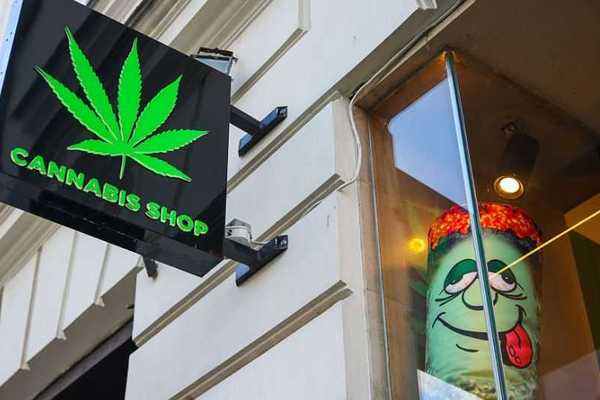 America's legal marijuana experiment is raising the risk of teen psychosis