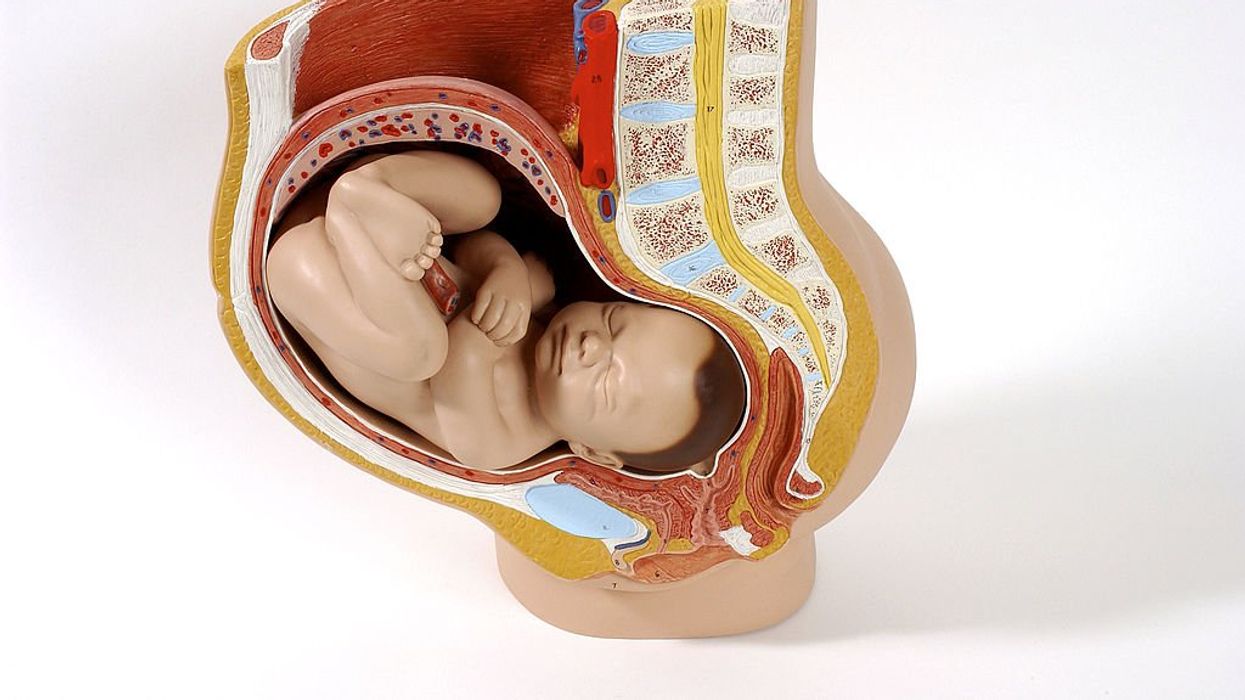 American Medical Association journal: There's no moral reason why taxpayers shouldn't subsidize uterus transplants for men