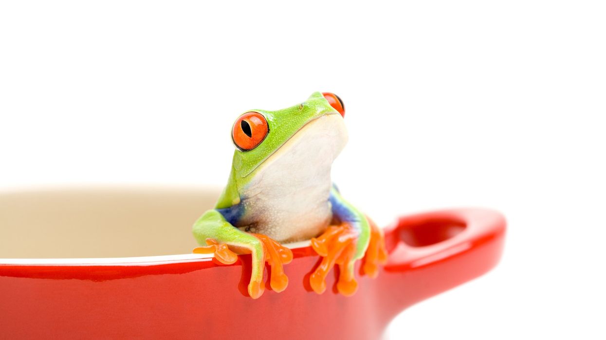 America’s decisive moment to embrace or reject its foundational change