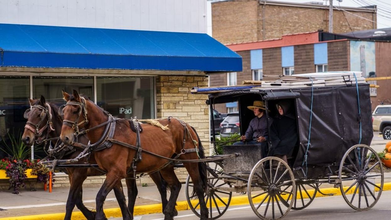 Amish woman and horse dead after buggy is rear-ended by semi — not 'uncommon,' police say