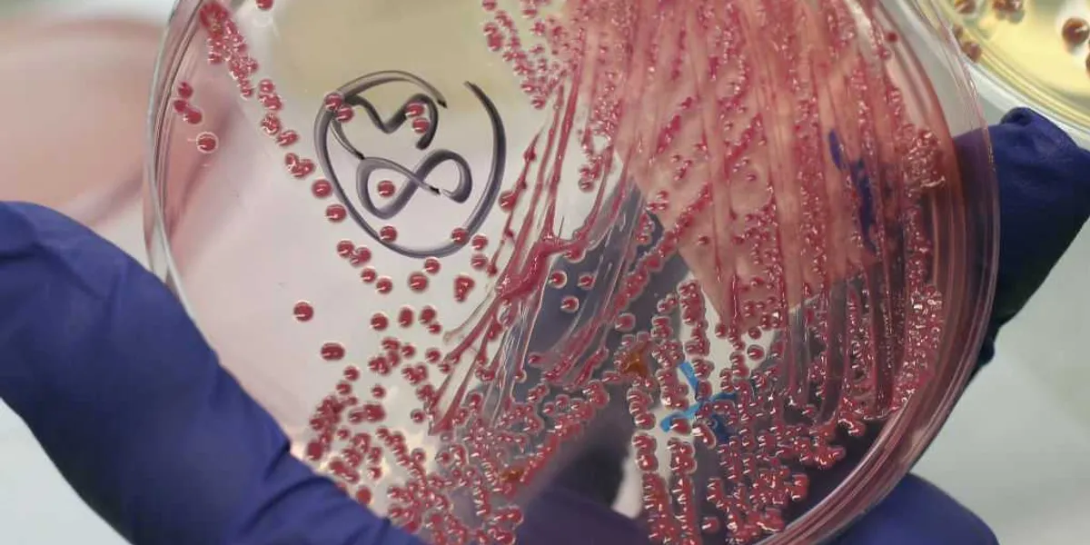 Another Chinese researcher busted for allegedly smuggling crop-harming biomaterial into America