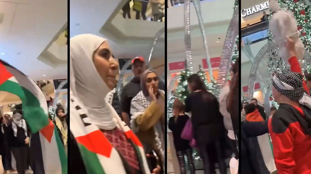 Anti-Israel radicals terrorize families trying to take their kids to see mall Santa