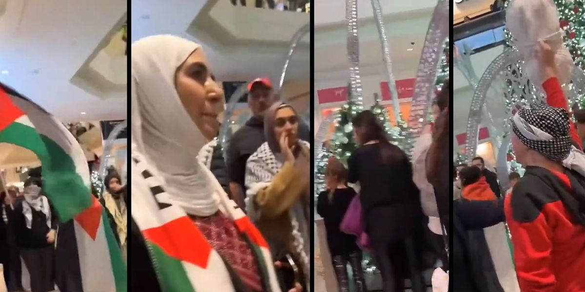 NextImg:Anti-Israel radicals terrorize families trying to take their kids to see mall Santa | Blaze Media