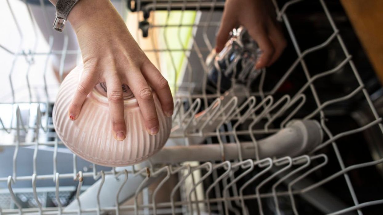 Appliance apocalypse: Dishwashers next on the chopping block to combat climate change
