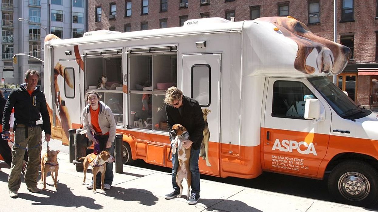 ASPCA gives only 2% of its budget to pet shelters, while promoting 'radical and elitist' anti-farmer policies, bombshell report finds