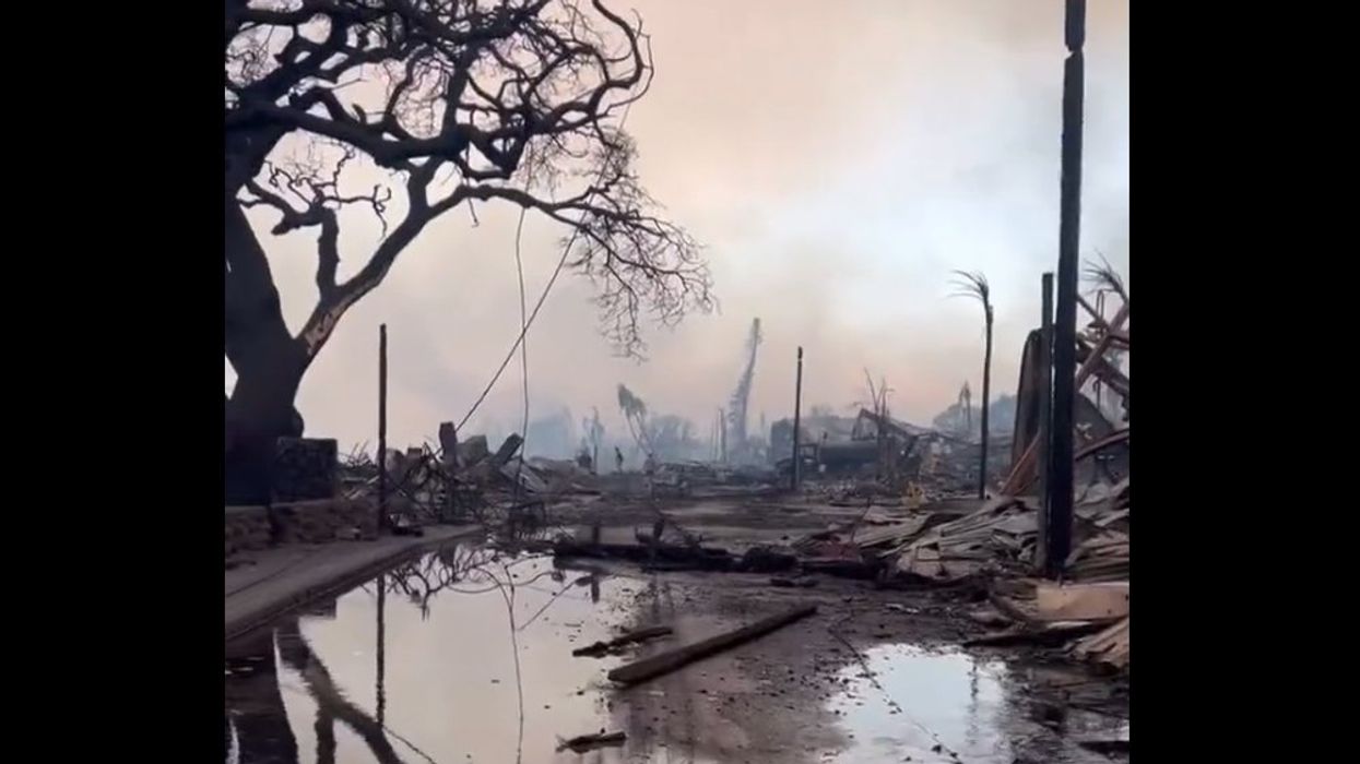 At least 36 dead in Hawaii fires, which have displaced thousands, reduced a historic town to ash, and chased some into the ocean