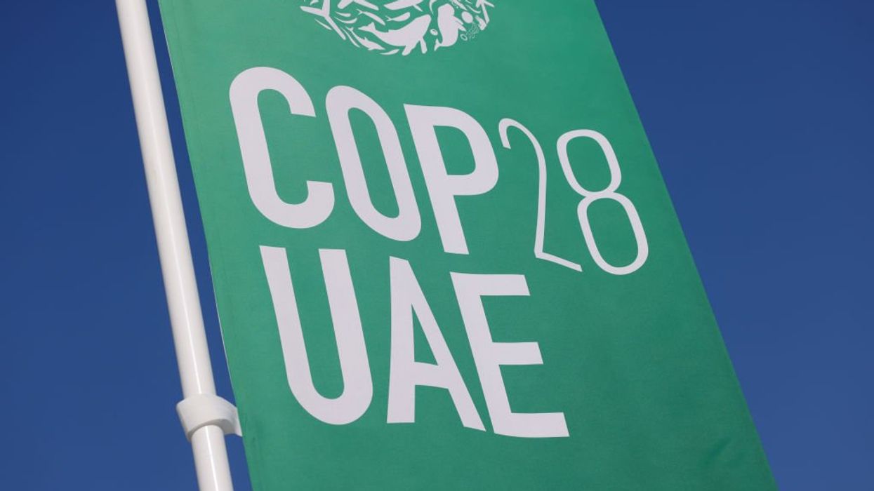 At the UN climate conference, NGO vanity rules the day