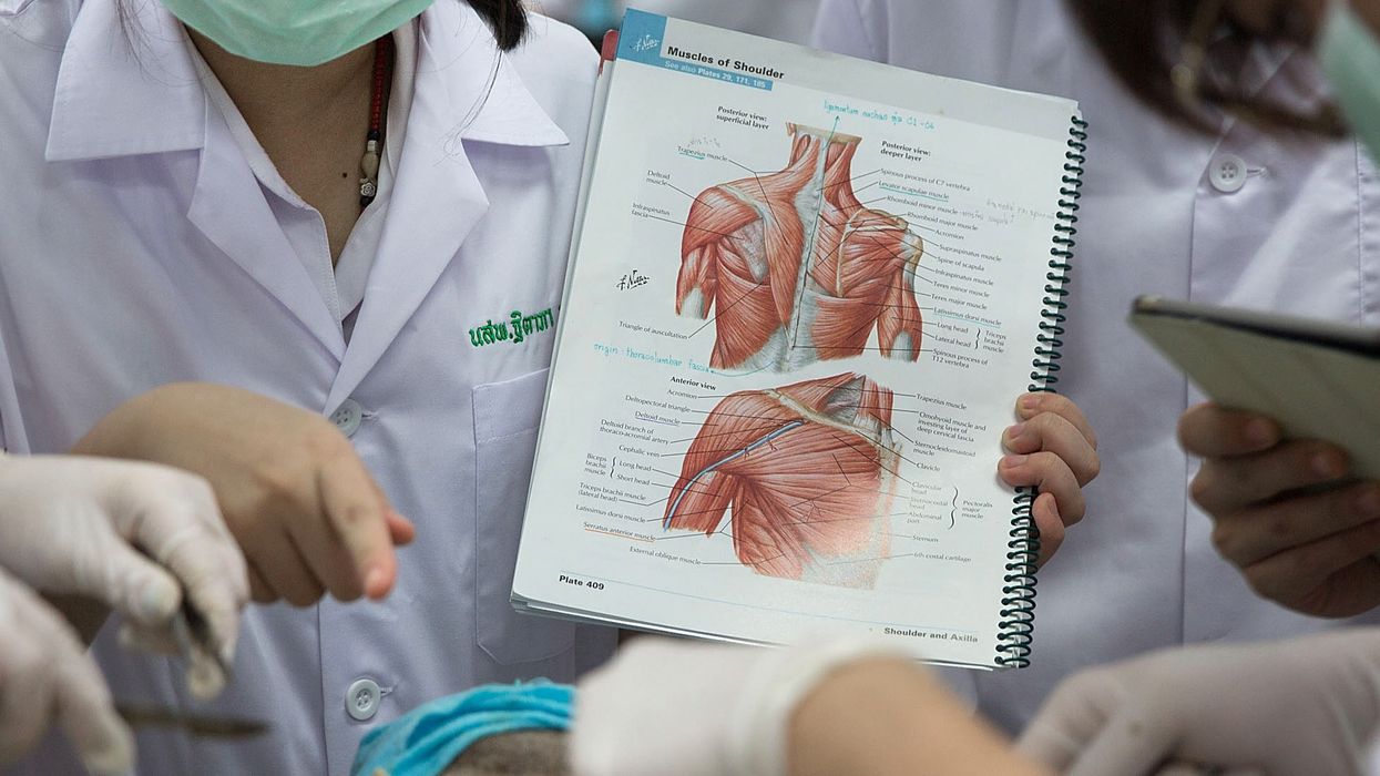 Australian doctors push renaming Adam’s apple, Achilles tendon, and other 'misogynistic' terms