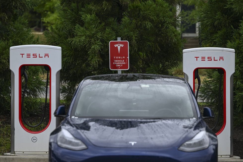 Backlash hits liberal DA for denying criminal charges against worker in Tim Walz admin over vandalism against Teslas