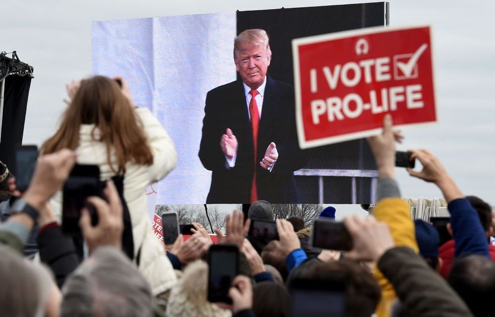 Believe it or not‚ Trumps strategy could pave the way for more pro-life wins