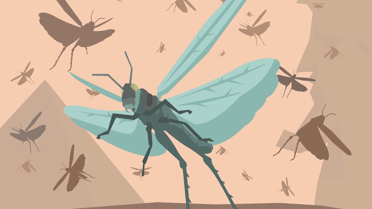 Beware the locusts of Davos