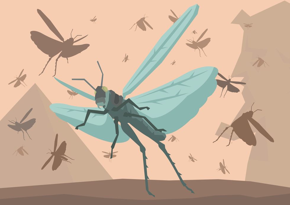 Beware the locusts of Davos