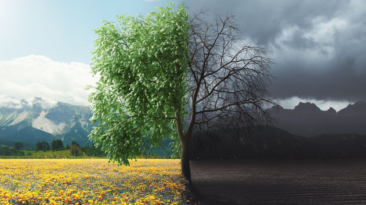 Beyond counterfeit Christianity: Facing evil and finding God in a broken world