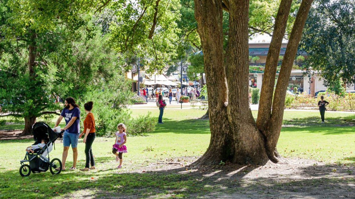 Biden admin awards $1 billion to improve 'tree equity,' expand access to green spaces