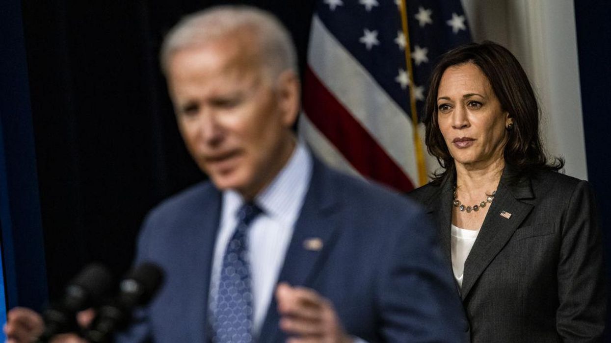 Biden offloads another hot-button political issue onto VP Harris — this time its 'voting rights'
