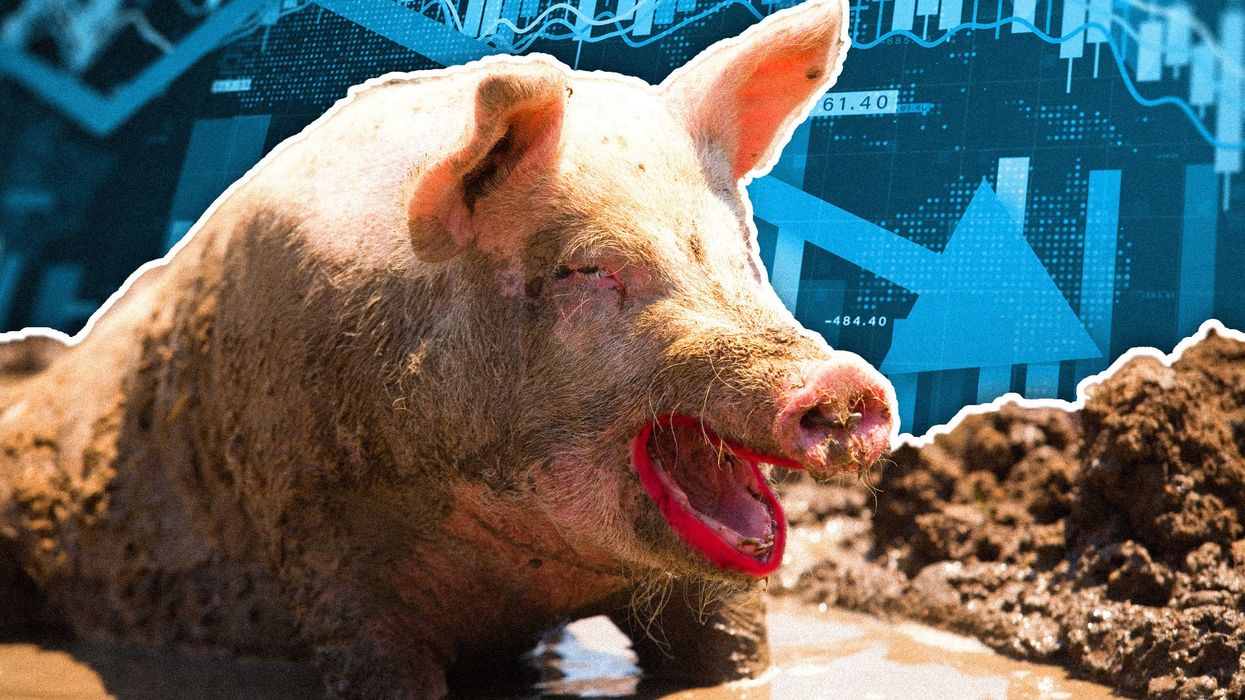 Bidenomics is lipstick on a pig