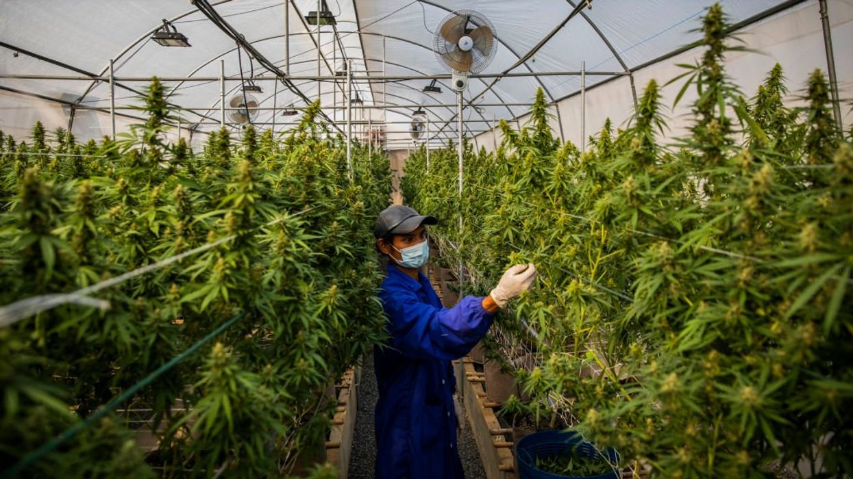 Biden’s Health Department calls for reclassifying marijuana as lower-risk drug