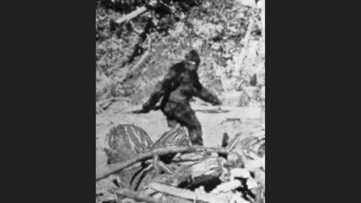 Bigfoot is real — and not what you think it is