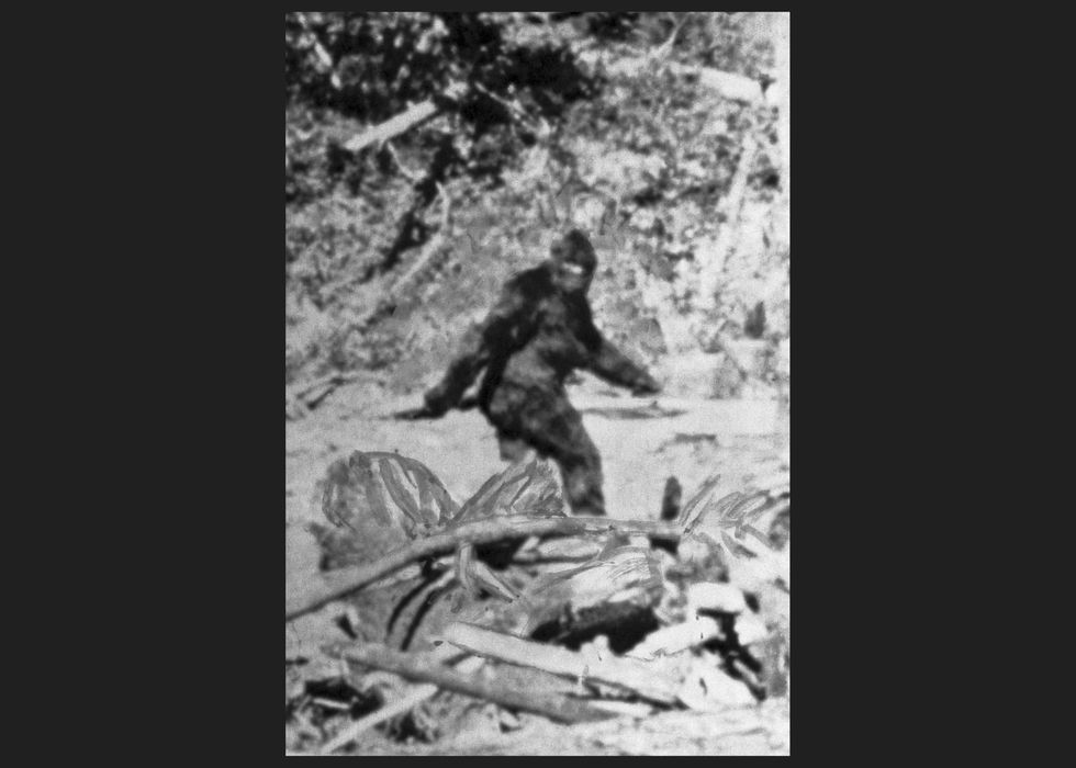 Bigfoot is real — and more dangerous than you think