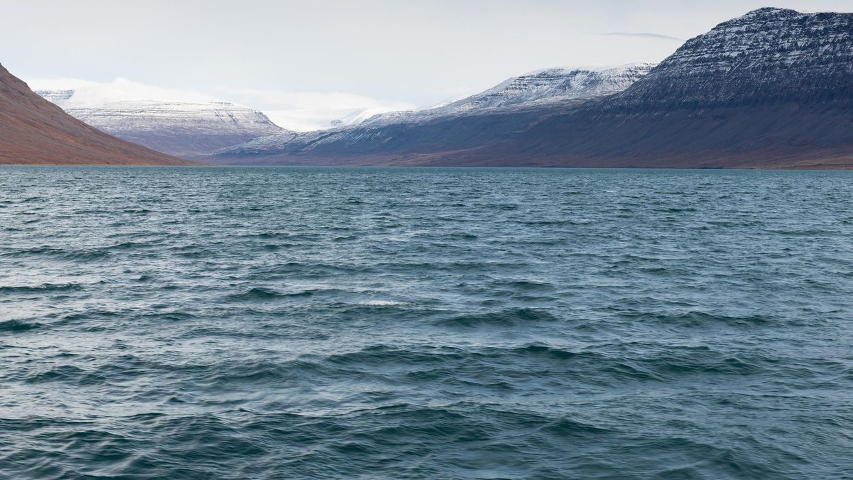 Billionaires go treasure hunting in Greenland for rare minerals needed for electric cars — and they may have climate change to thank