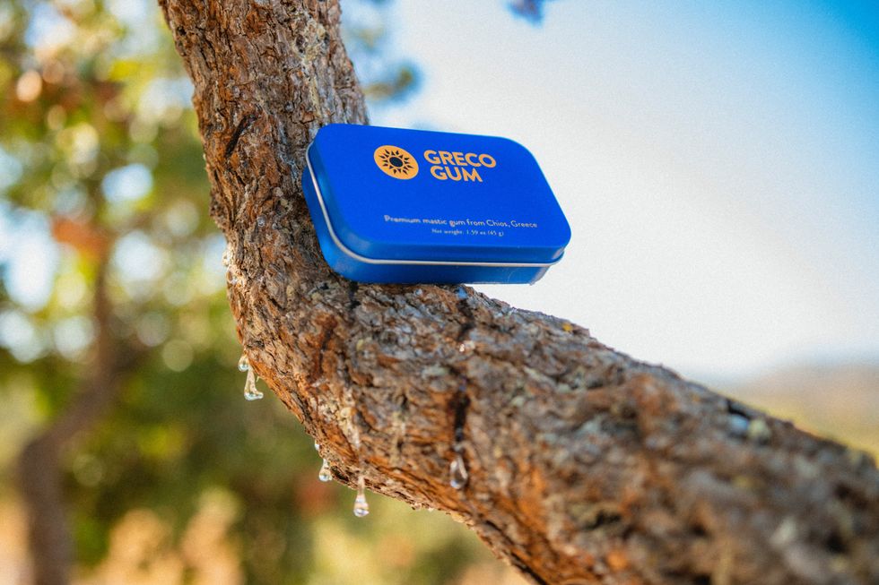 Bioscience secrets reveal you need to chew harder — and use better gum