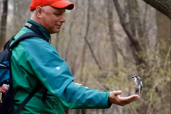 Bird by bird: The hobby healing millions of burned-out Americans