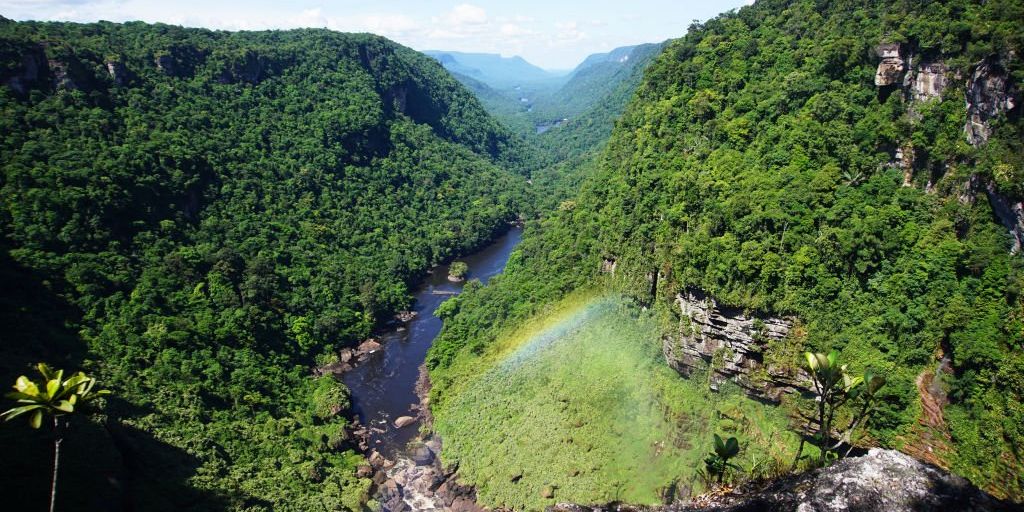Blaze News investigates: 'Machines are made for man': The bittersweet reality of offering internet access to a remote Amazon tribe - Vimarsana News