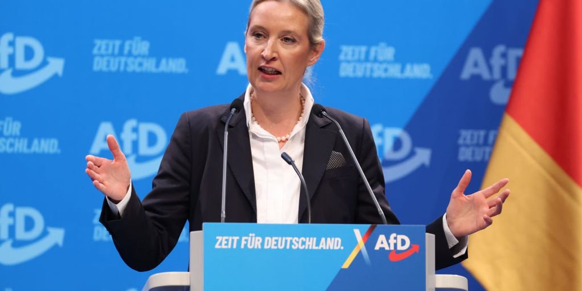 Bodies of right-leaning AFD politicians are piling up in Germany ahead of elections Bodies of right-leaning AFD politicians are piling up in Germany ahead of elections