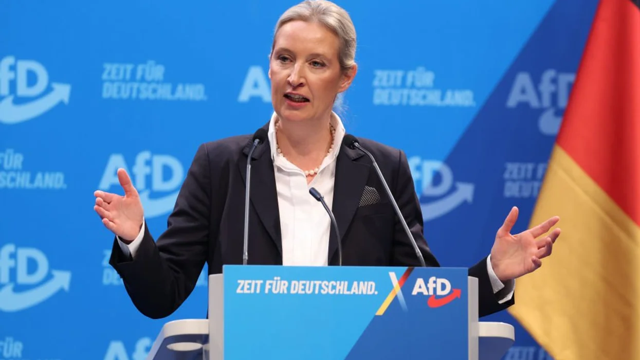 Bodies of right-leaning AFD politicians are piling up in Germany ahead of elections