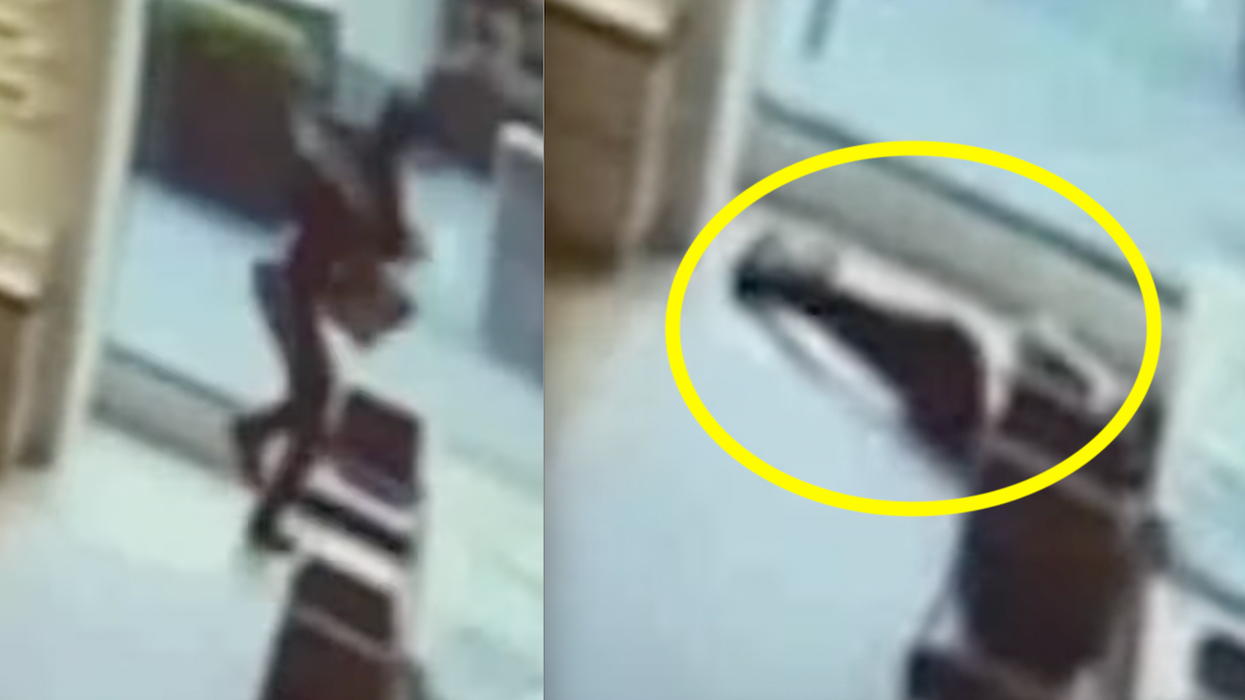 'Brazen' and brainless: Teen rips off $18,000 in Louis Vuitton merchandise, runs to store exit, knocks himself unconscious after slamming into glass door